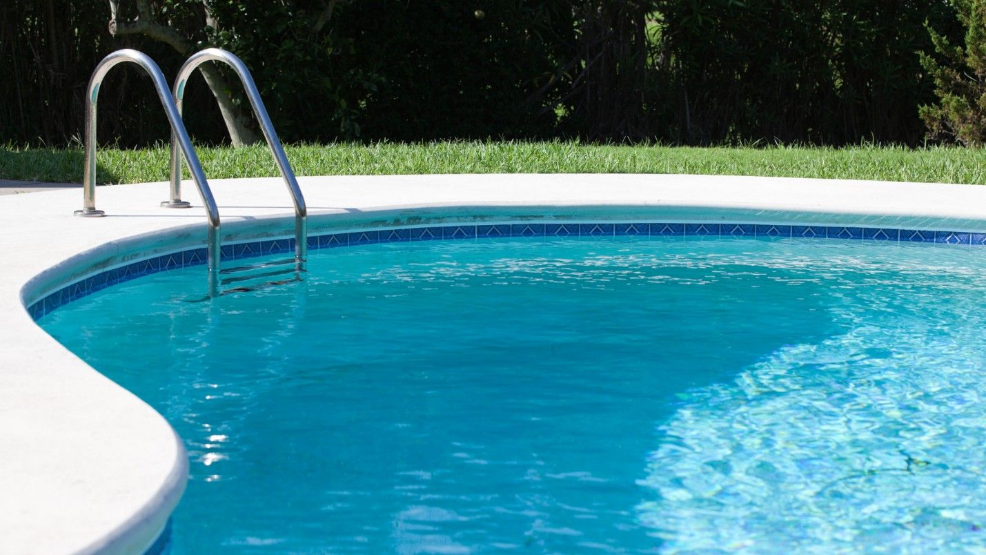A backyard with a green lawn and a simple, clean-looking pool.